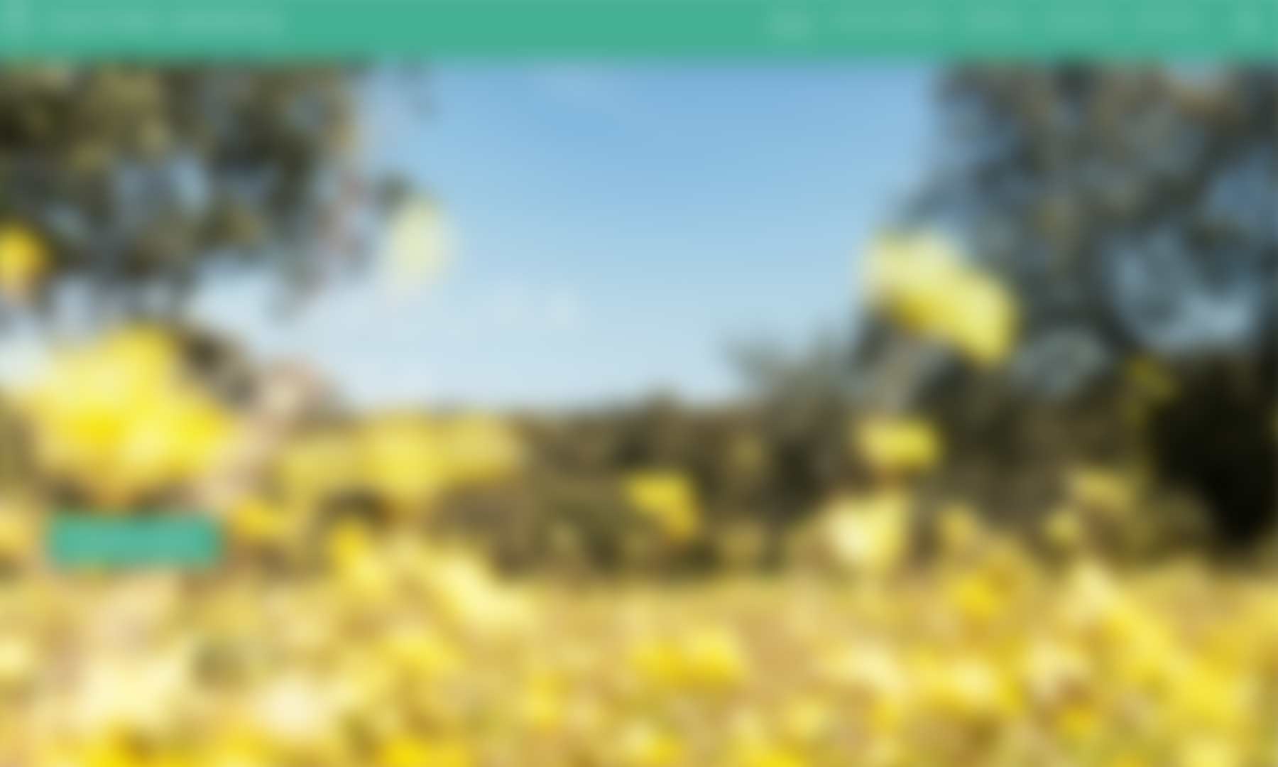 Presentamos Gastro Dehesa