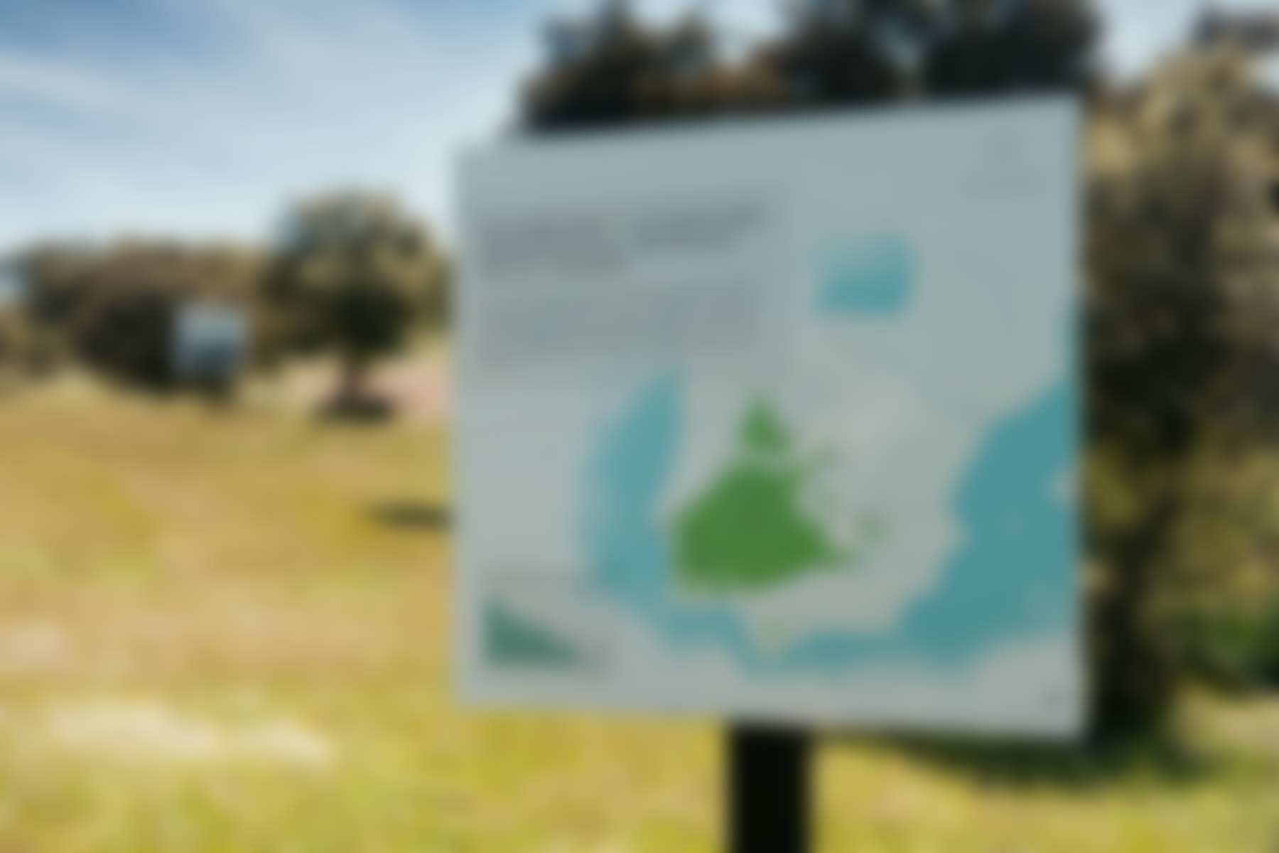 Descuento lanzamiento